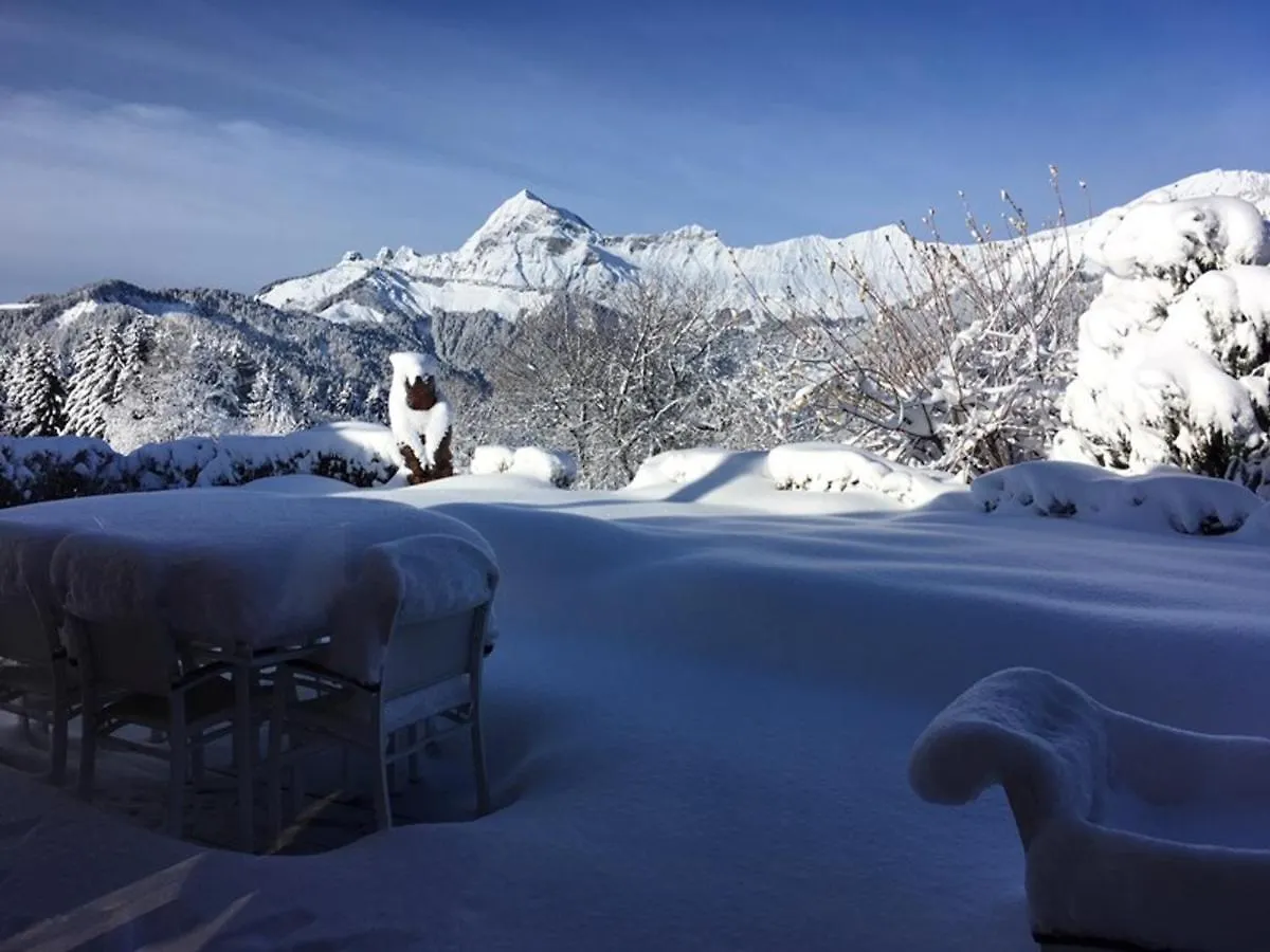 Chalet 10 Personnes Au Centre Village Avec Wifi Et Parking - Fr-1-733-34 Crest-Voland 0*,